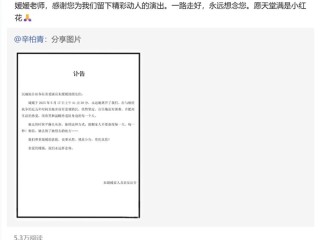 《送你一朵小红花》朱媛媛赵英俊都是因癌症去世：抗癌电影的现实版 ！