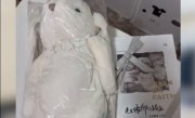 胖东来新店首批面试者 领到玩偶伴手礼物 门店：那是知名品牌 价值四百元 !
