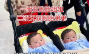 广东一夫妇连生2对双胞胎上热搜 医生称比中彩票概率还低：当事人回应 ！