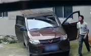 4只狗跑进五菱车内 “开车”撞墙后还有两声喇叭提醒 ！