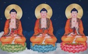 恨一林金粟都空代表是什么生肖，词语深入分析阐述释义