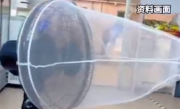 低成本高效灭蚊！女子自制捕蚊器5小时抓五六十只蚊子 ！