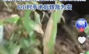 甘肃22岁孕妇遭黑熊袭击 通过装死脱险！为什么熊会放过她 !