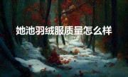 她池羽绒服质量怎么样（选购羽绒服的要点）