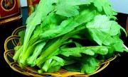 皇帝菜和茼蒿的异同（皇帝菜和茼蒿在性质和用途上的不同） ！
