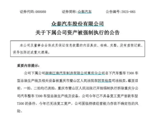 众泰汽车回应年内无法复工复产：遭强制拆除的为T300租赁产线 !