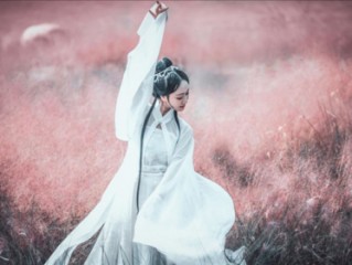 东将入海随水流，书卷长留在天堂，家有古书二三本，四书五经与春秋隐指一最佳生肖,独家释义词语解释!
