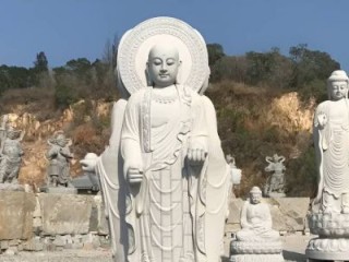 神清气爽猜打一个最佳最佳生肖，精准释义词语解释