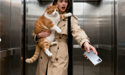 女子抱猫进电梯手机掉进电梯缝 急中生智取出手机 ！