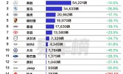 上半年中国进口车品牌销量榜：前十阵营除了雷克萨斯 其余全线暴跌 !