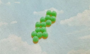 臭屁虫衣服上产卵致女子皮肤过敏 专家：不要触碰 汁液有毒 ！