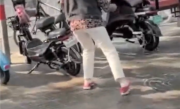 马路太黏路人鞋子频频被粘掉 昆虫专家：是蚜虫分泌出的蜜露 ！