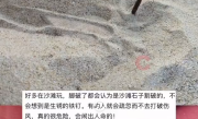 女子在沙滩玩20分钟捡了小半兜钉子！当事人：不知道是不是人为的，已报警 ！