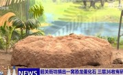 男子捐赠36枚恐龙蛋化石 最大直径18厘米 此前守护长达35年 !