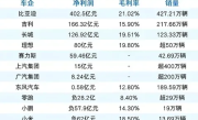 2024中国车企净利润榜单：比亚迪第一封神 比后四家之和还多 !