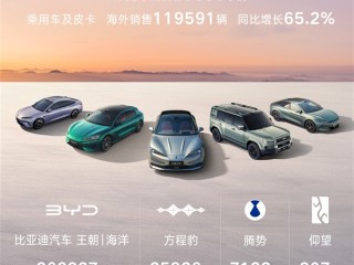 海外销量强势爆发！比亚迪3月销售新车300222辆 蝉联中国车企销冠 ！