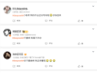 “DeepSeek崩了”登热搜第二 内部人员：正在处理中 !