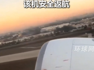 沙特一客机飞行途中撞鸟:机头发动机遍布血迹 鸟残骸卡机身上 紧急返航 !