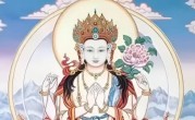 琴挑文君打一准确生肖，是什么生肖词语解释释义落实