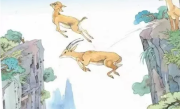 人民日报转发网友拍摄的羊群飞渡珍贵画面：瞬间想起小学课本“斑羚飞渡” !