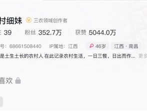 博主“农村细妹”突发脑溢血去世：年仅46岁 !