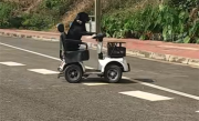 拉布拉多独自驾电动车上路被扣车 狗主人：它是网红 还在学叉车 !