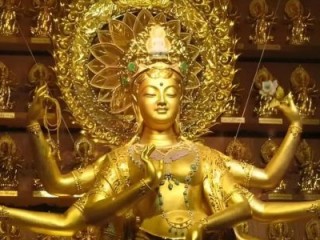群英荟萃打一最佳生肖，独家释义解释成语解析