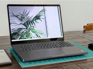 NVIDIA RTX PRO 5000专业显卡首测：居然搭配128GB CAMM2内存 !
