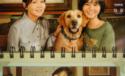 电影《再见，李可乐》今日发布定档海报：谭松韵新片演闫妮吴京女儿！