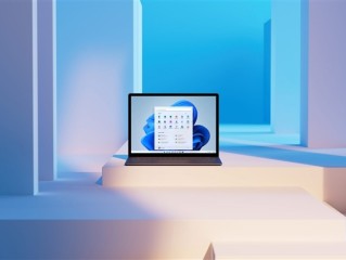 Windows更新致SSD故障真相水落石出！用了工程固件 !