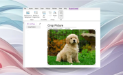 用户期待已久！微软OneNote终于迎来图片裁剪功能 !