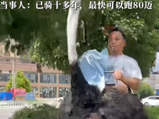 男子骑鸵鸟上路称“比电动车还快” 当事人：已骑十多年 最快可以跑80迈 续航惊人 !