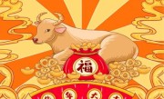 放荡不羁意指一最佳最佳生肖,独家释义词语解释! 