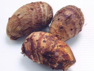 养胃的蔬菜推荐（推荐具有养胃效果的蔬菜） ！