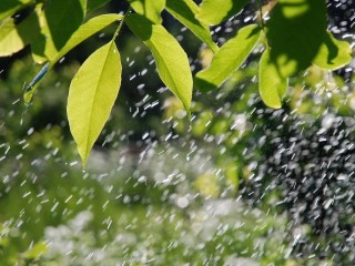 出殡时下雨的预兆（出殡时下雨的神秘信号） ！