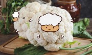 日月光华二七栋，天生佳丽舞编赶猜打一个绝佳最佳生肖,精准词语释义谜底