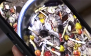一家9口吃鹅膏菌中毒 医生：致死率非常高 !