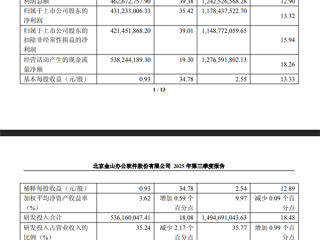 自研WPS格式被商务部采用 金山办公发布亮眼财报:净利润大增35% !