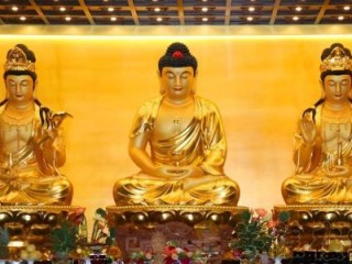 释义作答解读：出三人四迎二一，西出阳关见瘦马打一最佳最佳生肖词语，释义分析成语解释