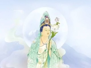 琴挑文君是打指一最佳最佳生肖,独家释义词语解释! 