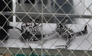 影石宣布进入无人机市场 将推出自有无人机品牌 !