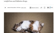 全球首款猫用减肥药进入临床试验：声称能“延年益寿” ！