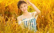 南阳三葛意指一最佳最佳生肖,独家释义词语解释! 
