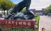 上海野生动物园攻略指南（游览上海野生动物园的攻略和建议） ！