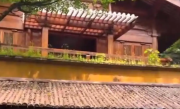 景区回应灵隐寺小卖部年租金260万：公开招标，年税收要求60万！