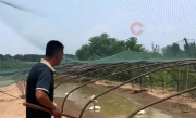 全国体感超45℃区域达到最大！河南网友：养鹅十多年头一次见鹅热死在水里 ！