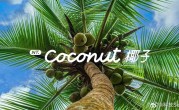 乐道L60首发NT.Coconut椰子乐道智能系统：9月19日上市 ！