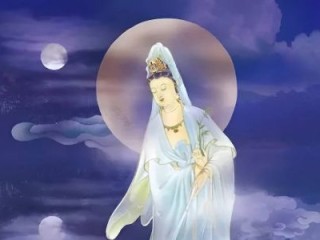数黑论黄猜打一个最佳最佳生肖，精准释义词语解释