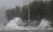 台风“麦德姆”登陆广东：最大风力14级 海水倒灌 !