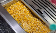 烤肉店用玉米粒当燃料 专家发声：很惋惜 我国粮食还处在紧平衡状态 !